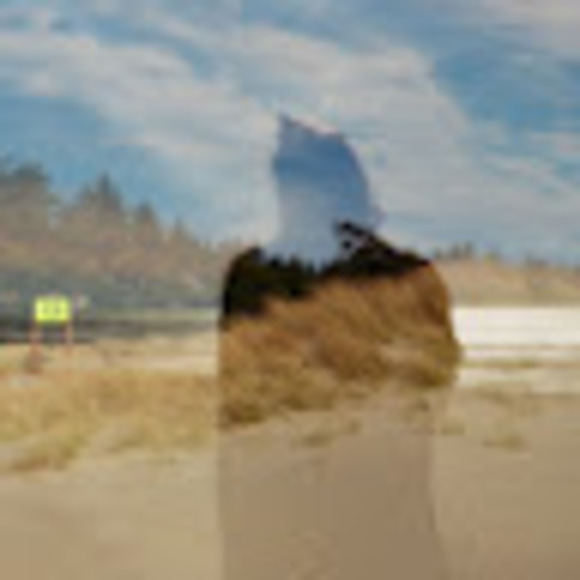 Meet your Posher, Gabrielle - Picture 1 of 1